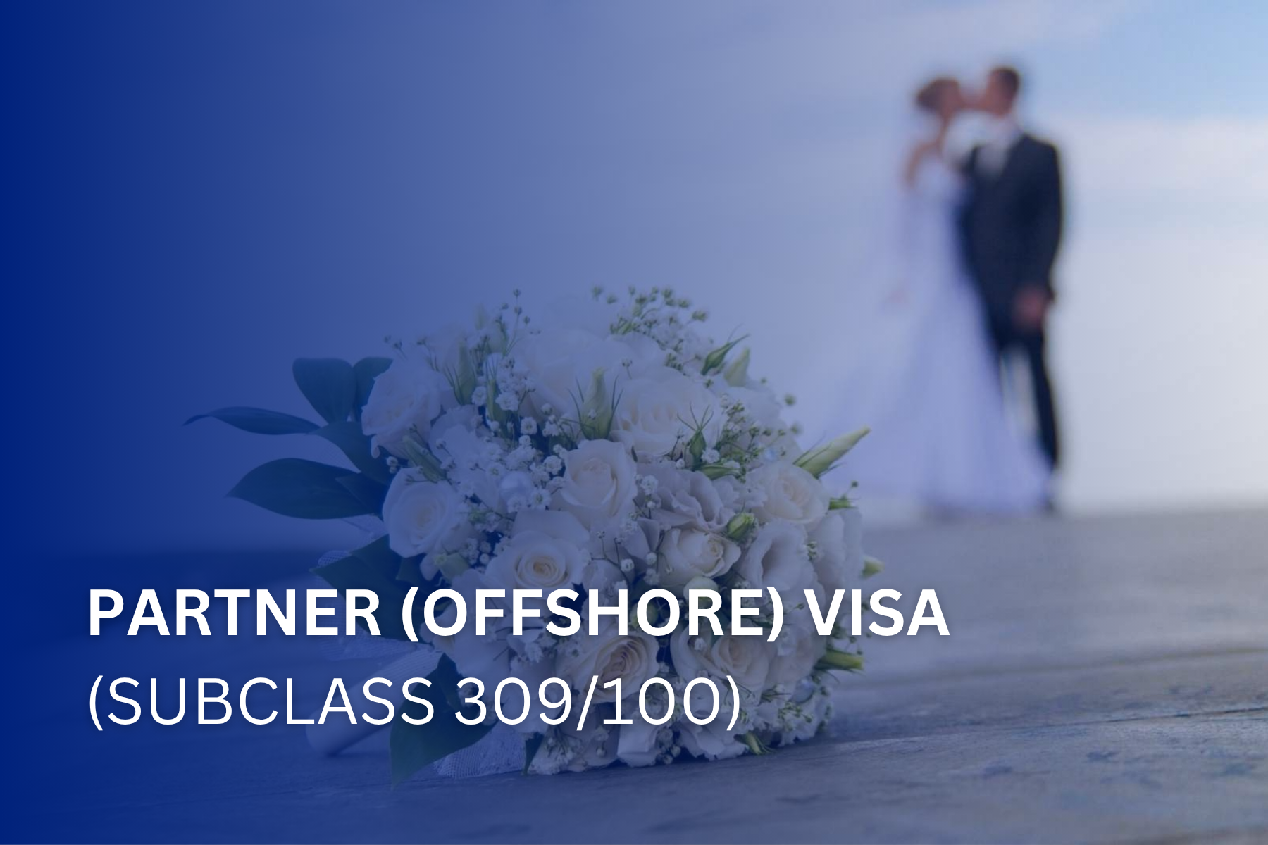 partner (offshore) visa 309100