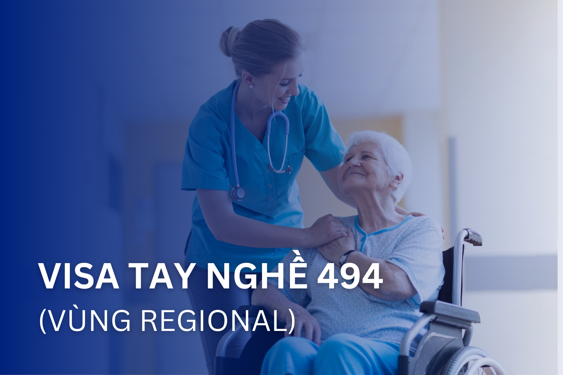 visa tay nghe vung mien 494